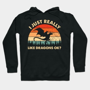I Just Really Like Dragons OK Funny Dragon Lover Hoodie